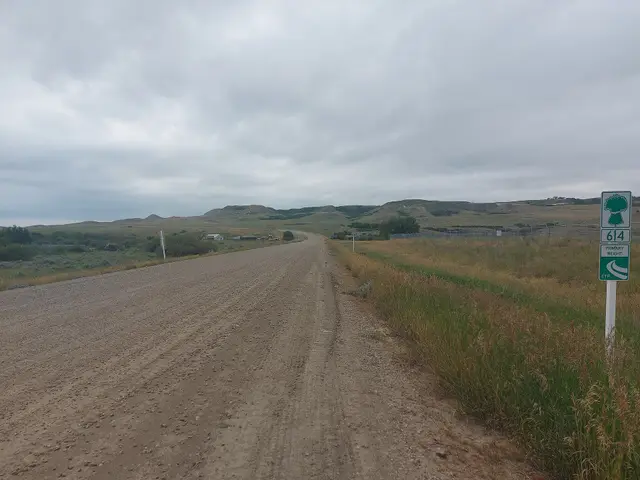 Highway 614 gravel road near Eastend
